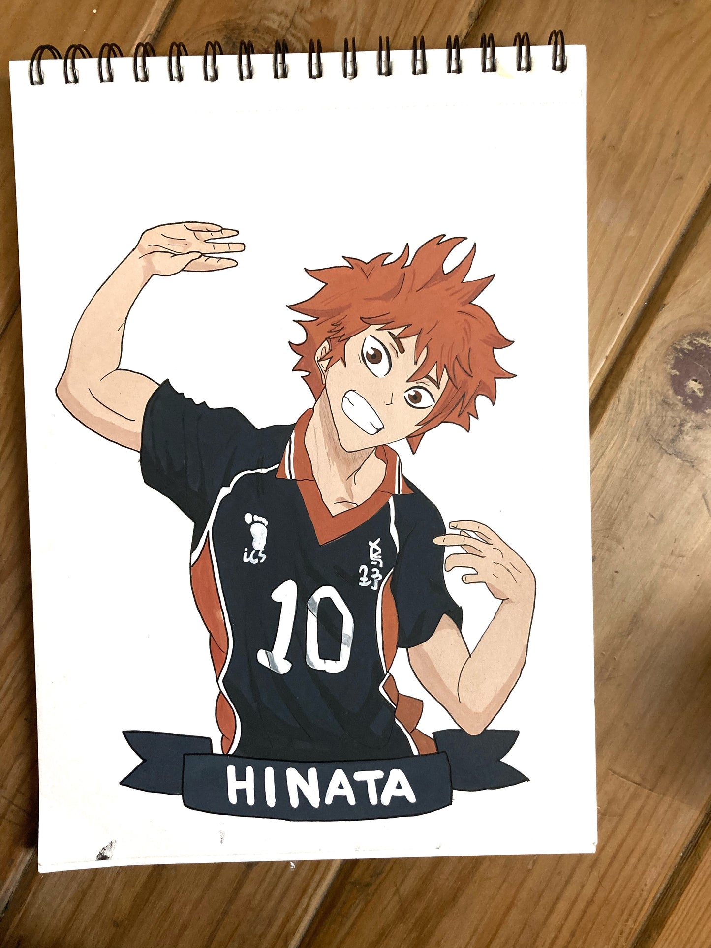 8X12 Haikyuu! Hinata Shoyo Painting